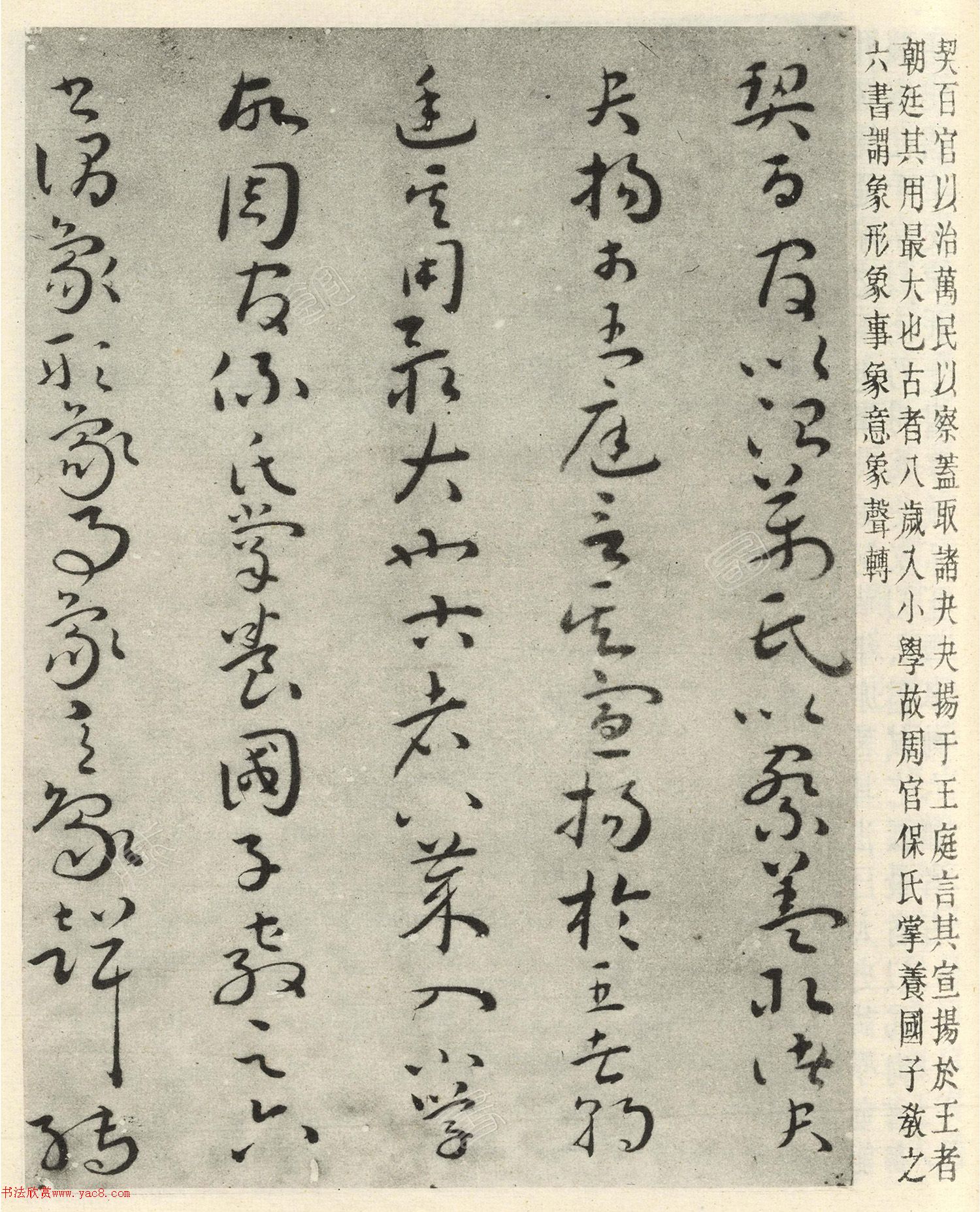 짲Ϊī