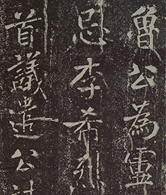 鷨ʯ̡ǡ
