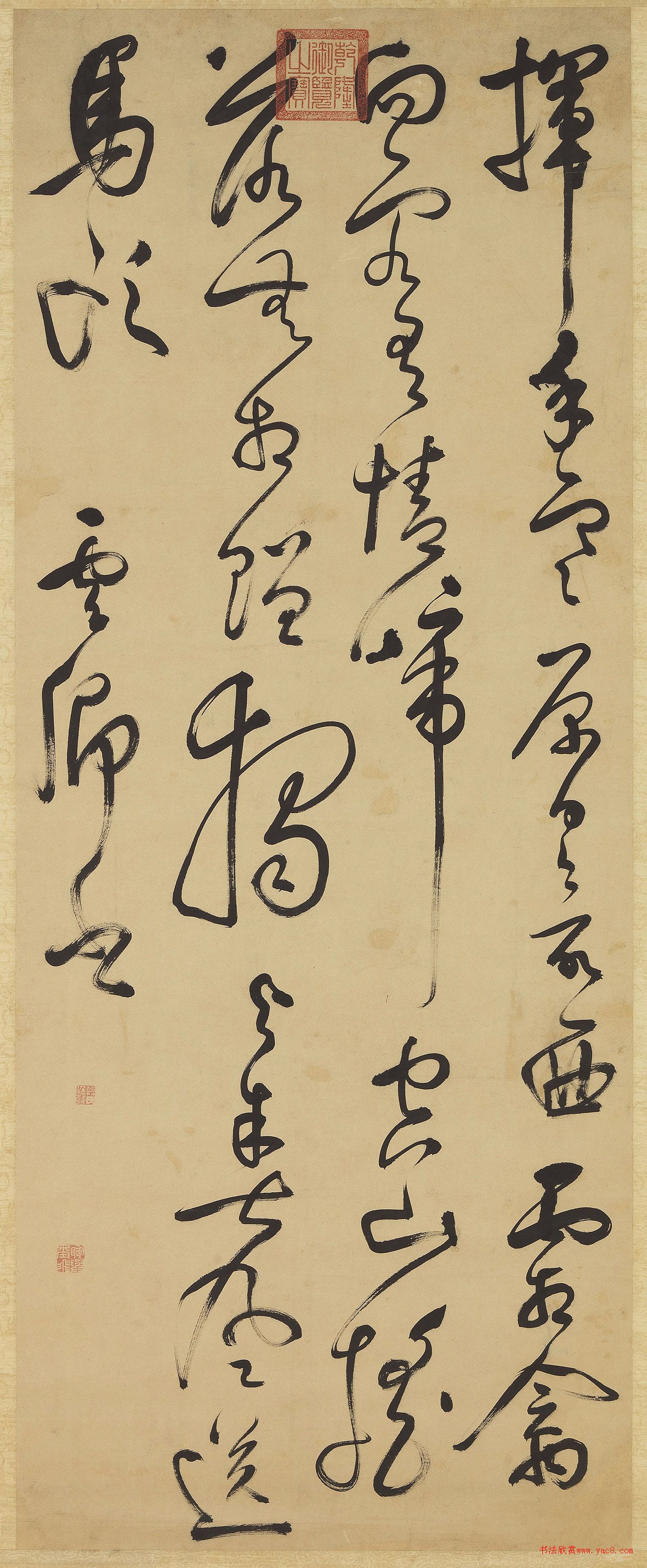 Ī鷨ʫ