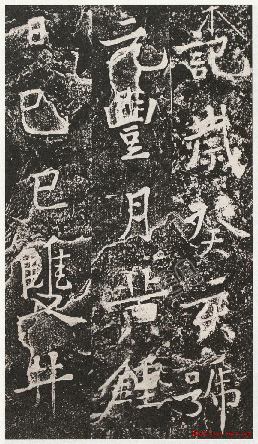 ͥῬ顶ɽ˳ǡ