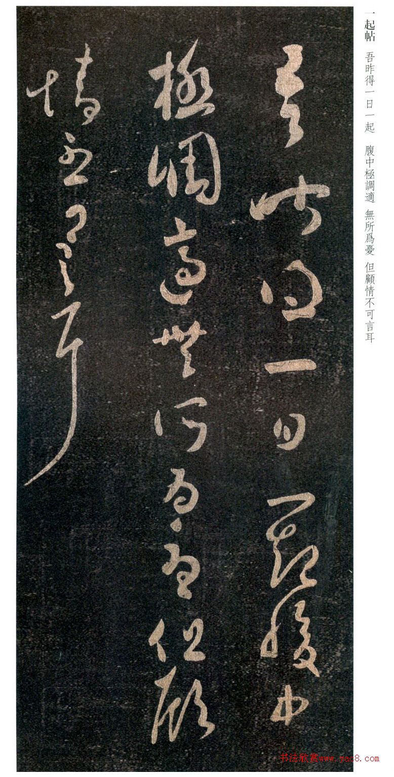 Amazon.co.jp: 写本 肉筆 懐素 等数 五体略伝 1冊 王羲之 書道