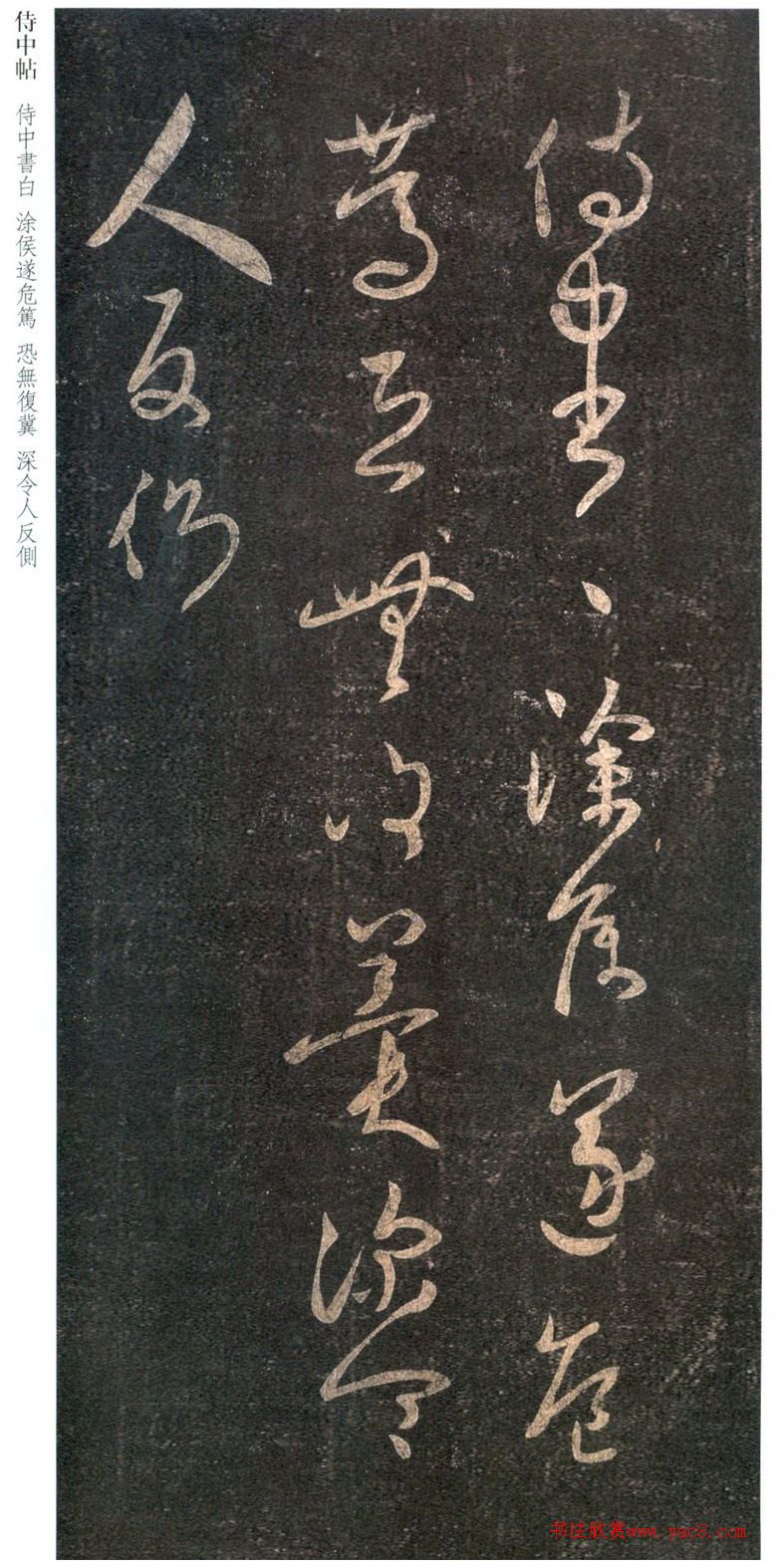 王羲之草书《侍中帖》6种