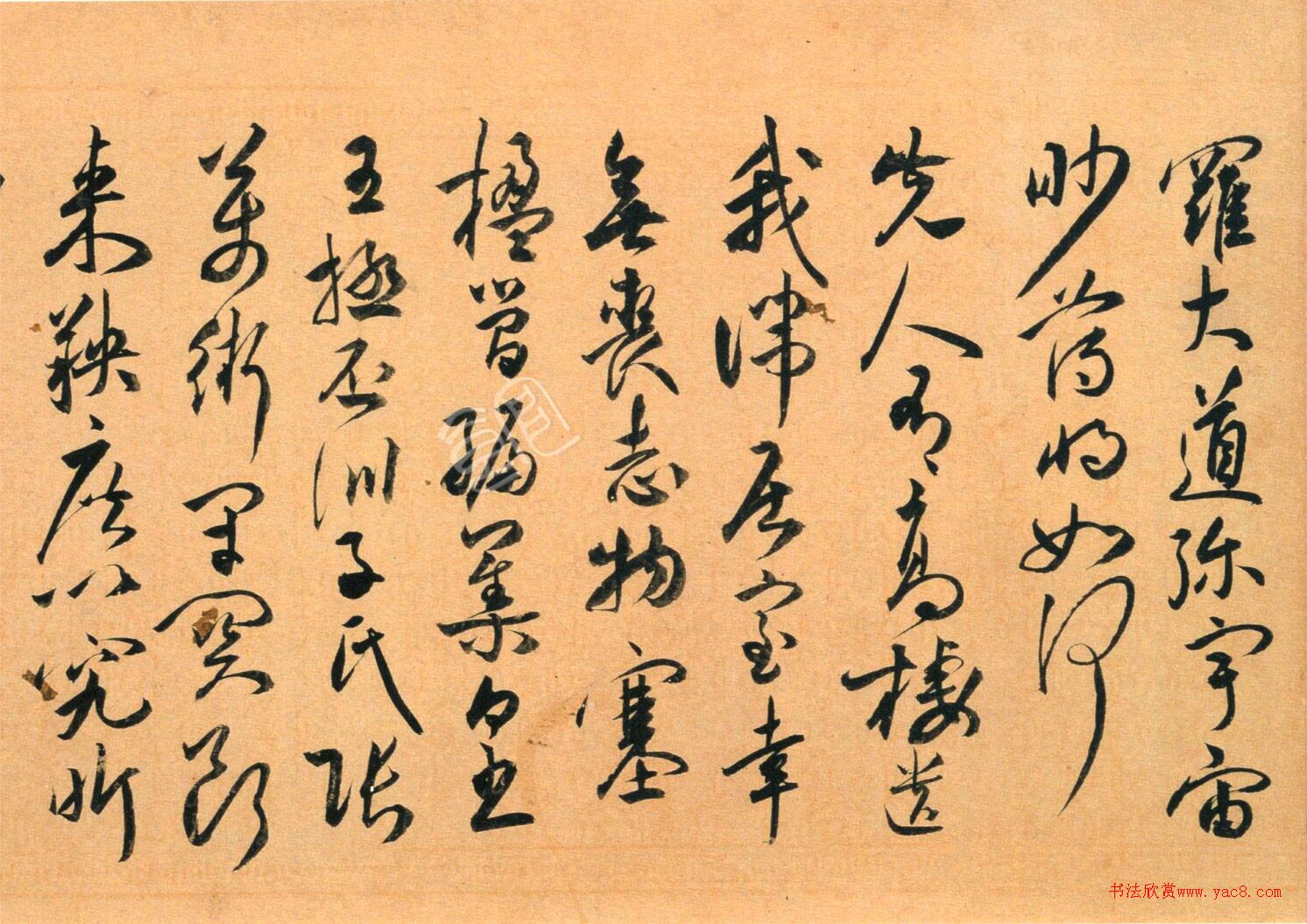 ף顶ʫ