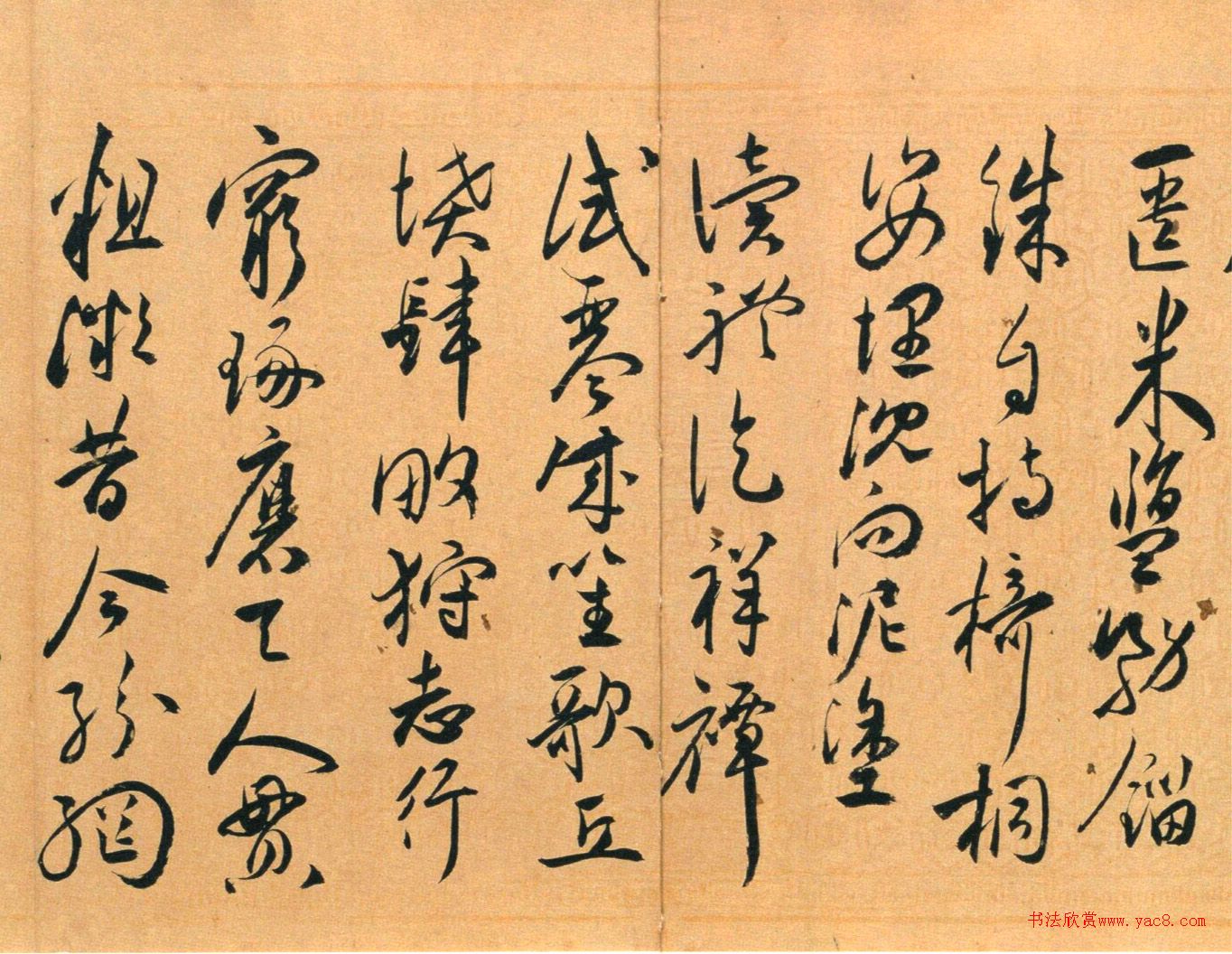 ף顶ʫ