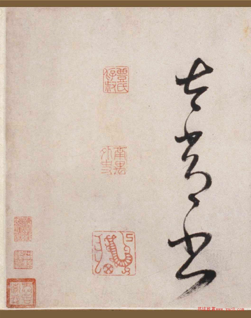 ᷻顶®ɽҥʫ
