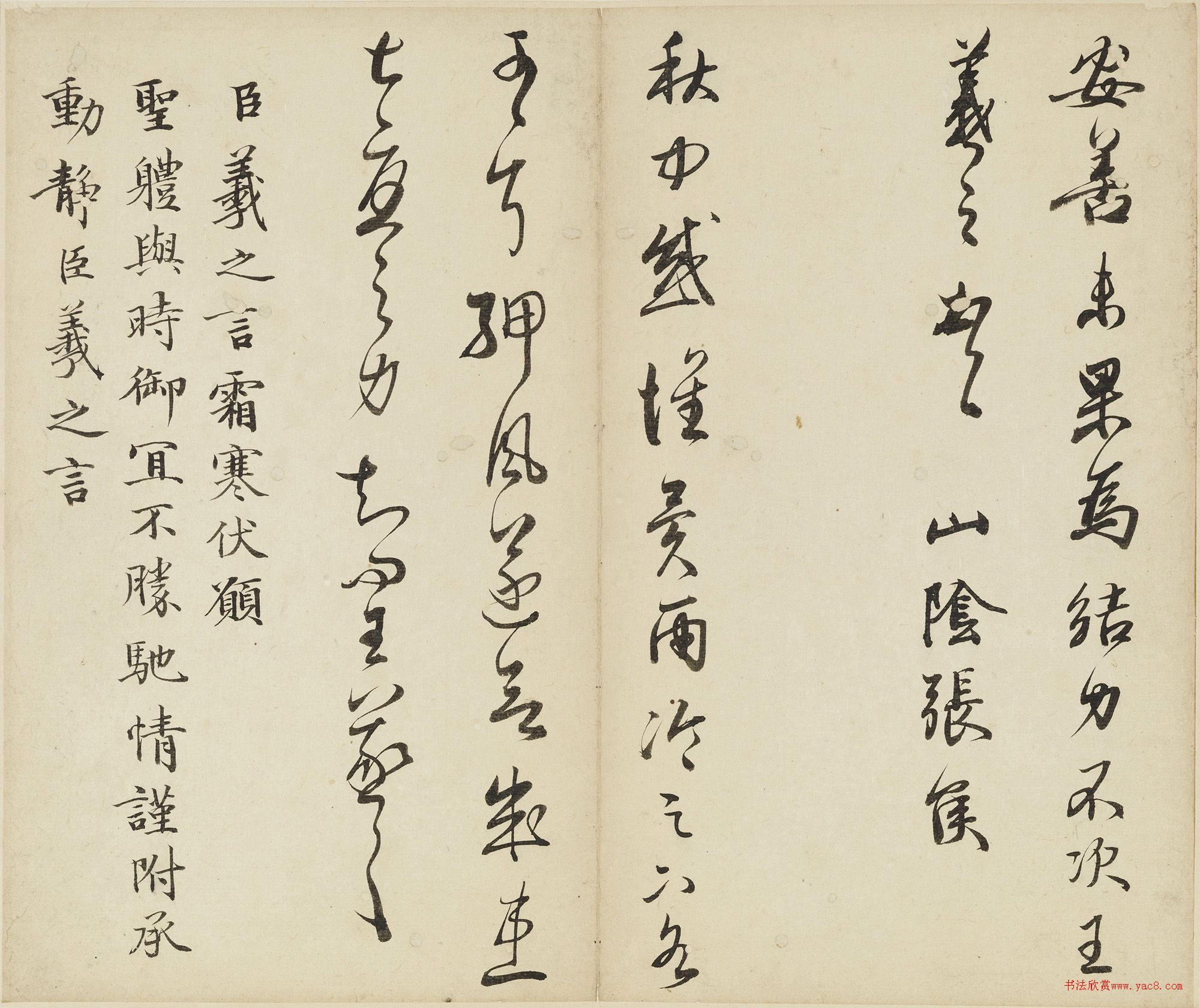 鷨ٶᡷ