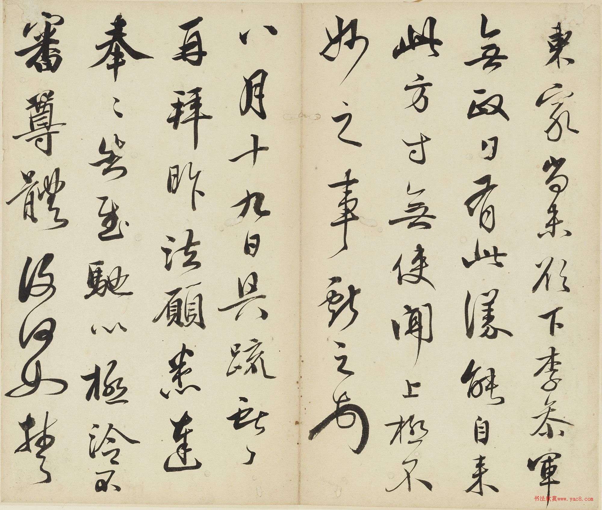 鷨ٶᡷ