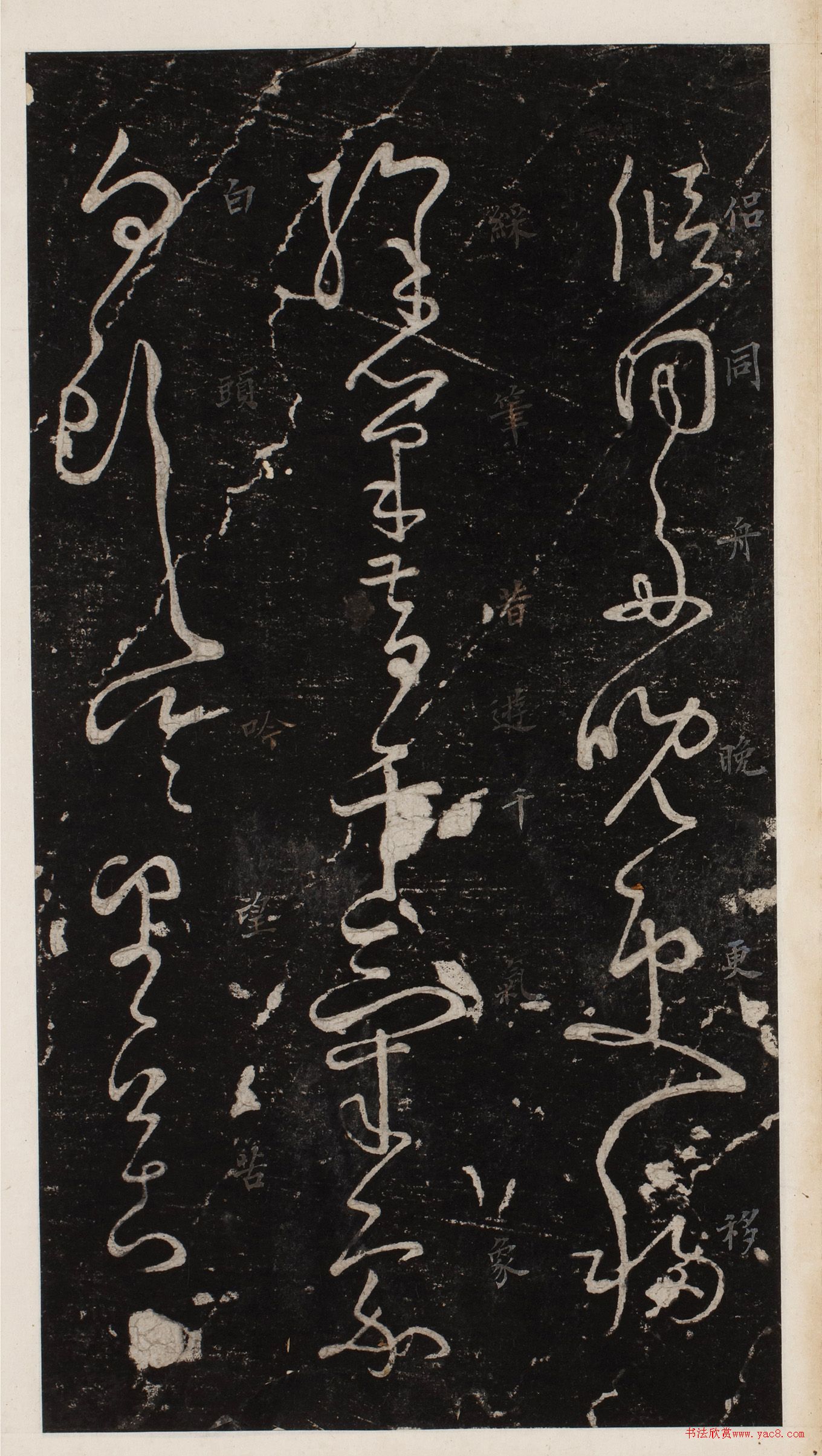 ز顶˰סձأ