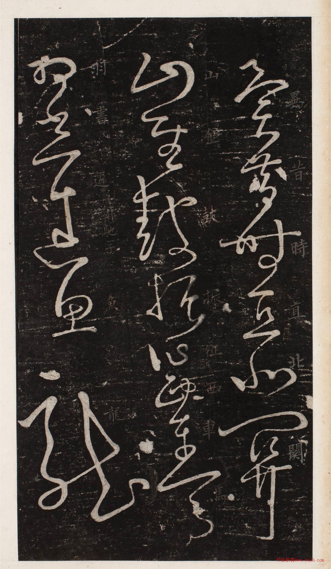 ز顶˰סձأ