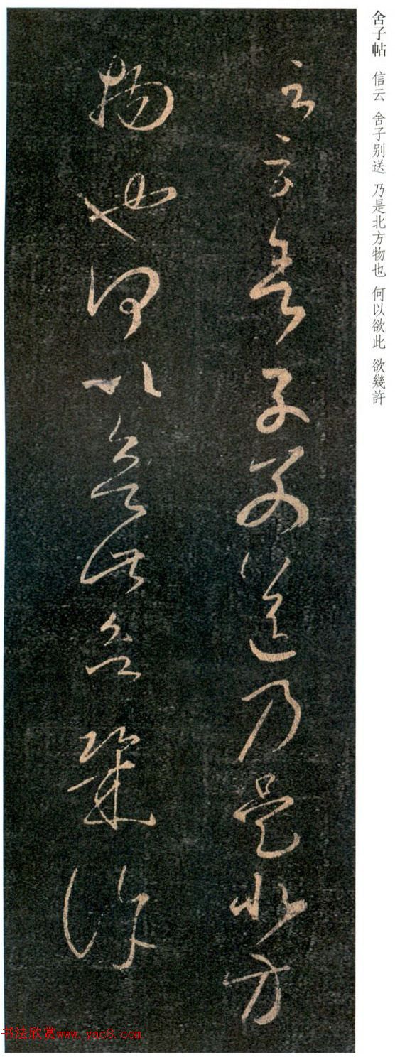 王羲之草书舍子帖