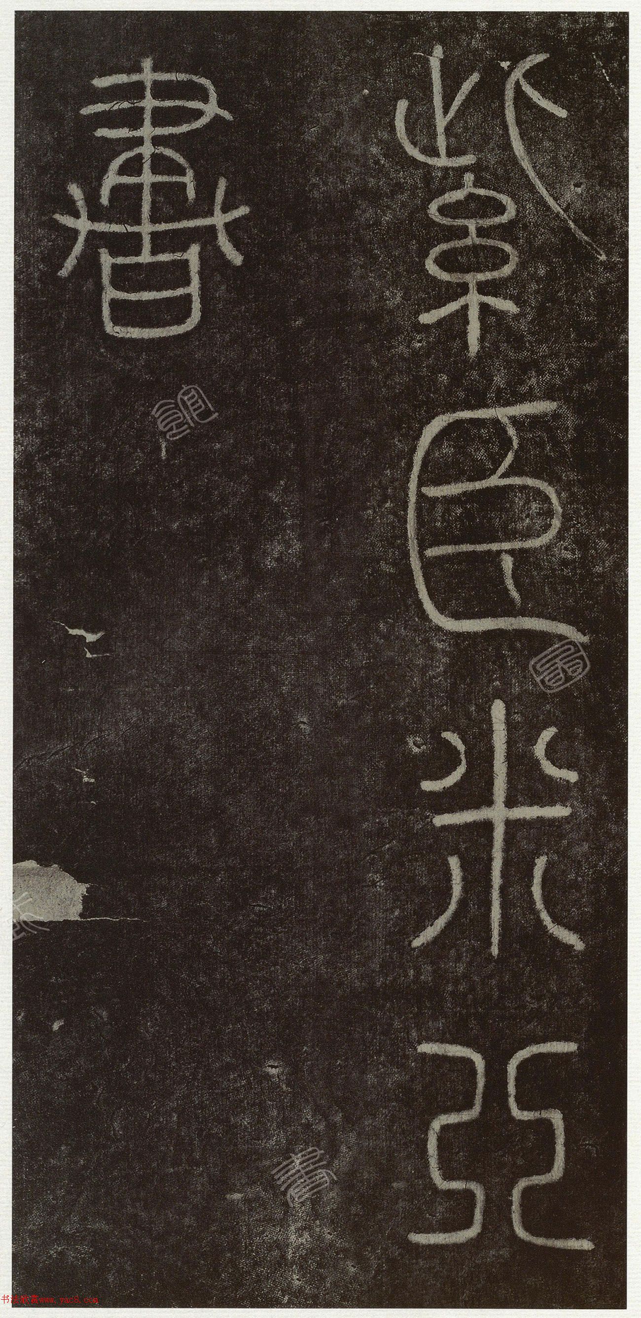 ����׭�������������ޱ�