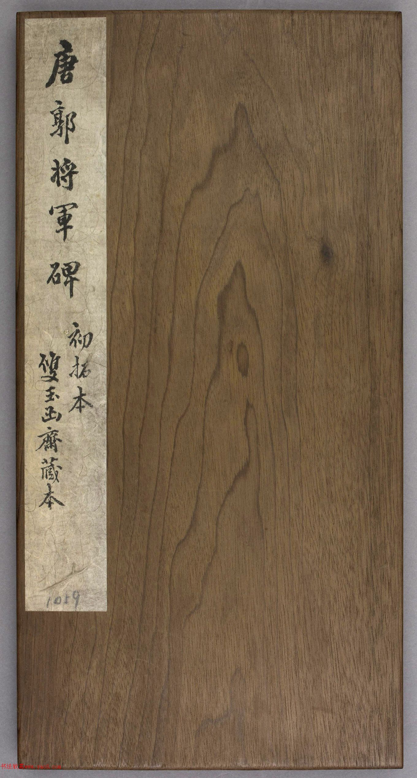ƴп顶