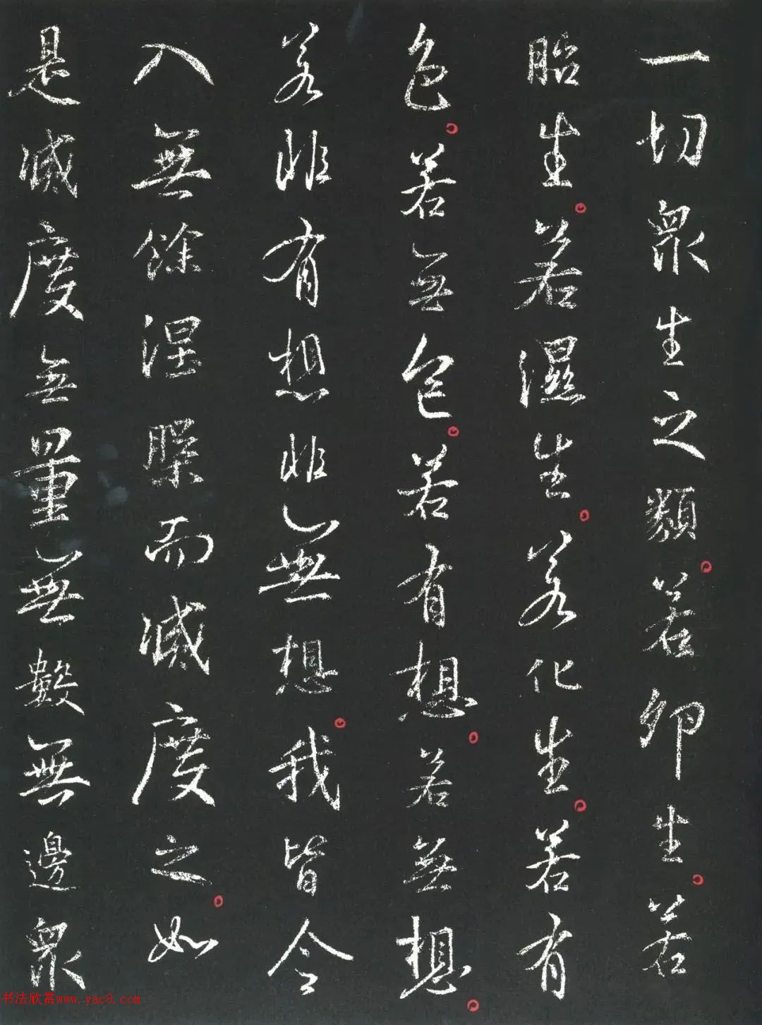 ֮顶վְ