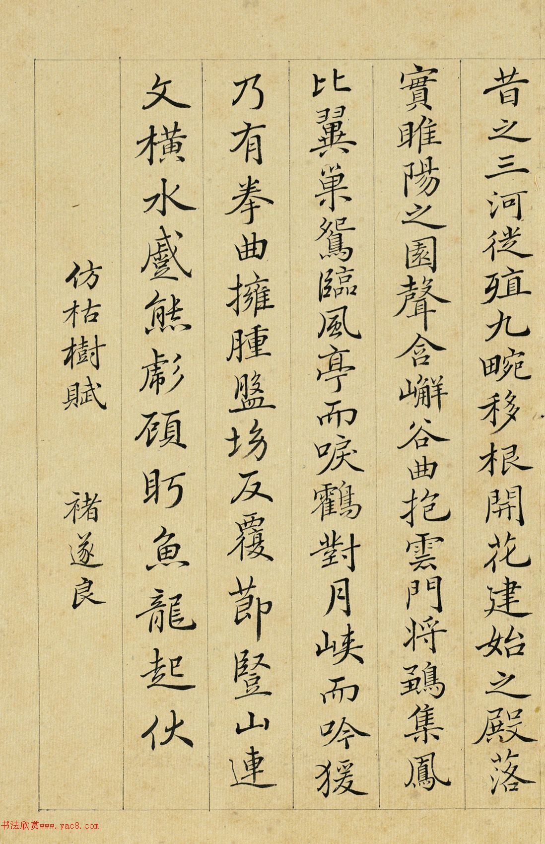 清代沈荃书法册《仿古二十则》