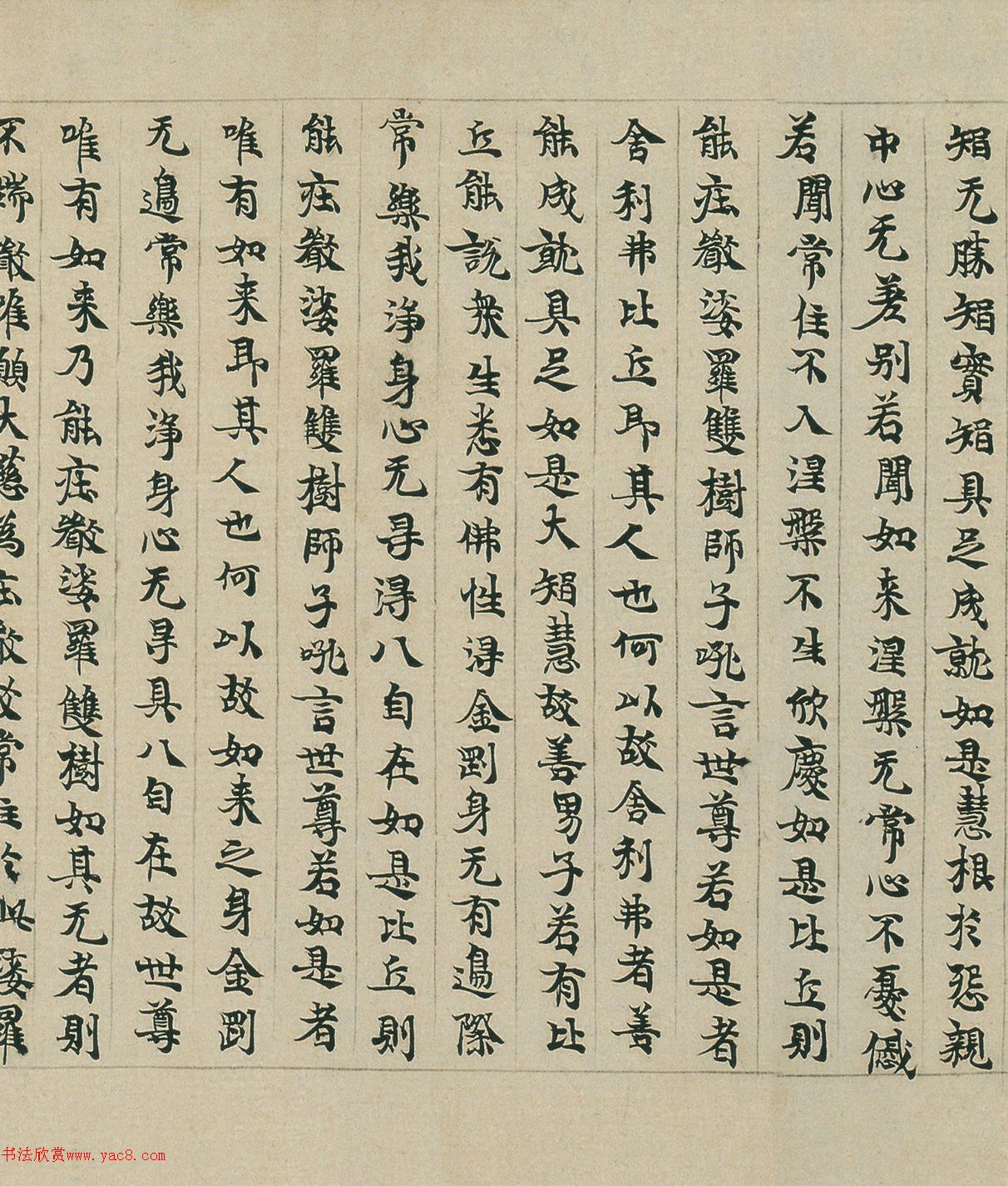 隋代楷书《大般涅盤经卷第卅》