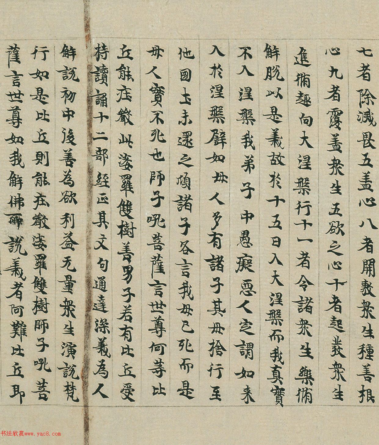 隋代楷书《大般涅盤经卷第卅》