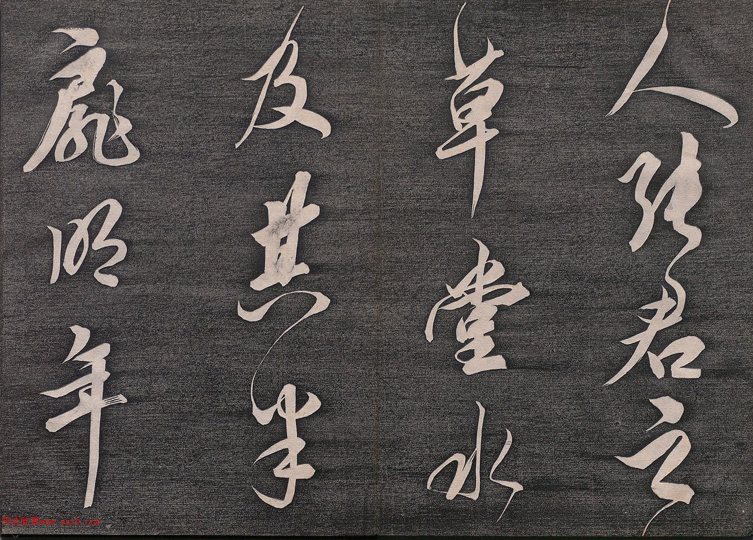 Źͥ顶