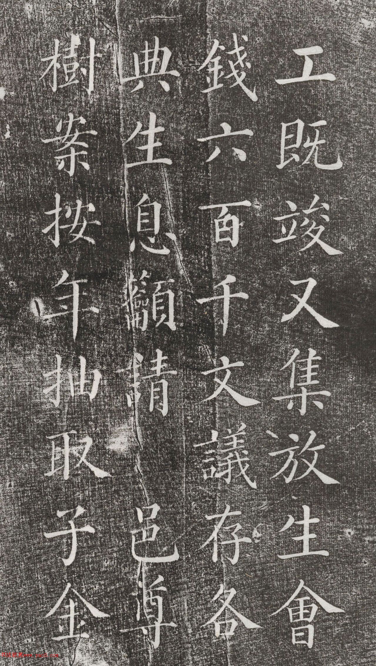 戚士彦楷书东塔讲寺放生碑记