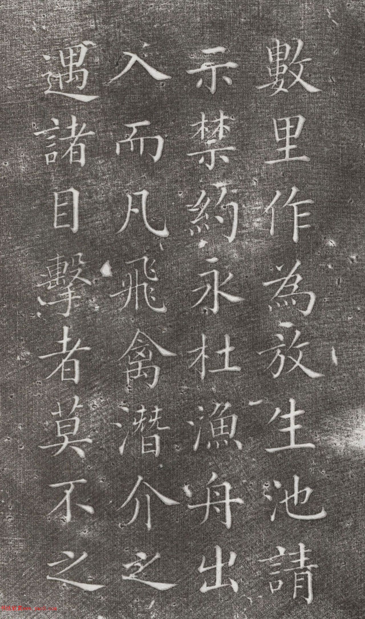 戚士彦楷书东塔讲寺放生碑记