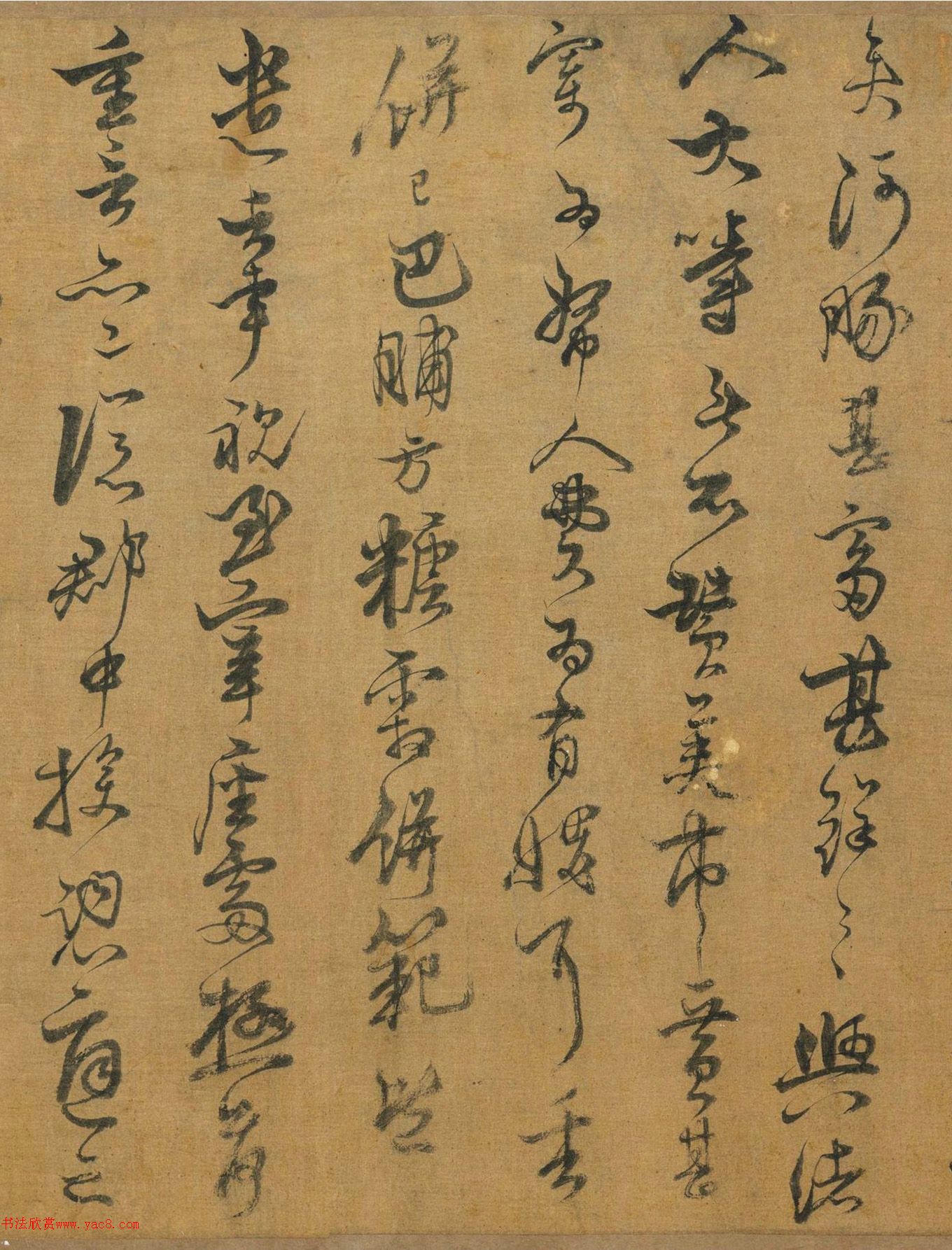 빾ɽ