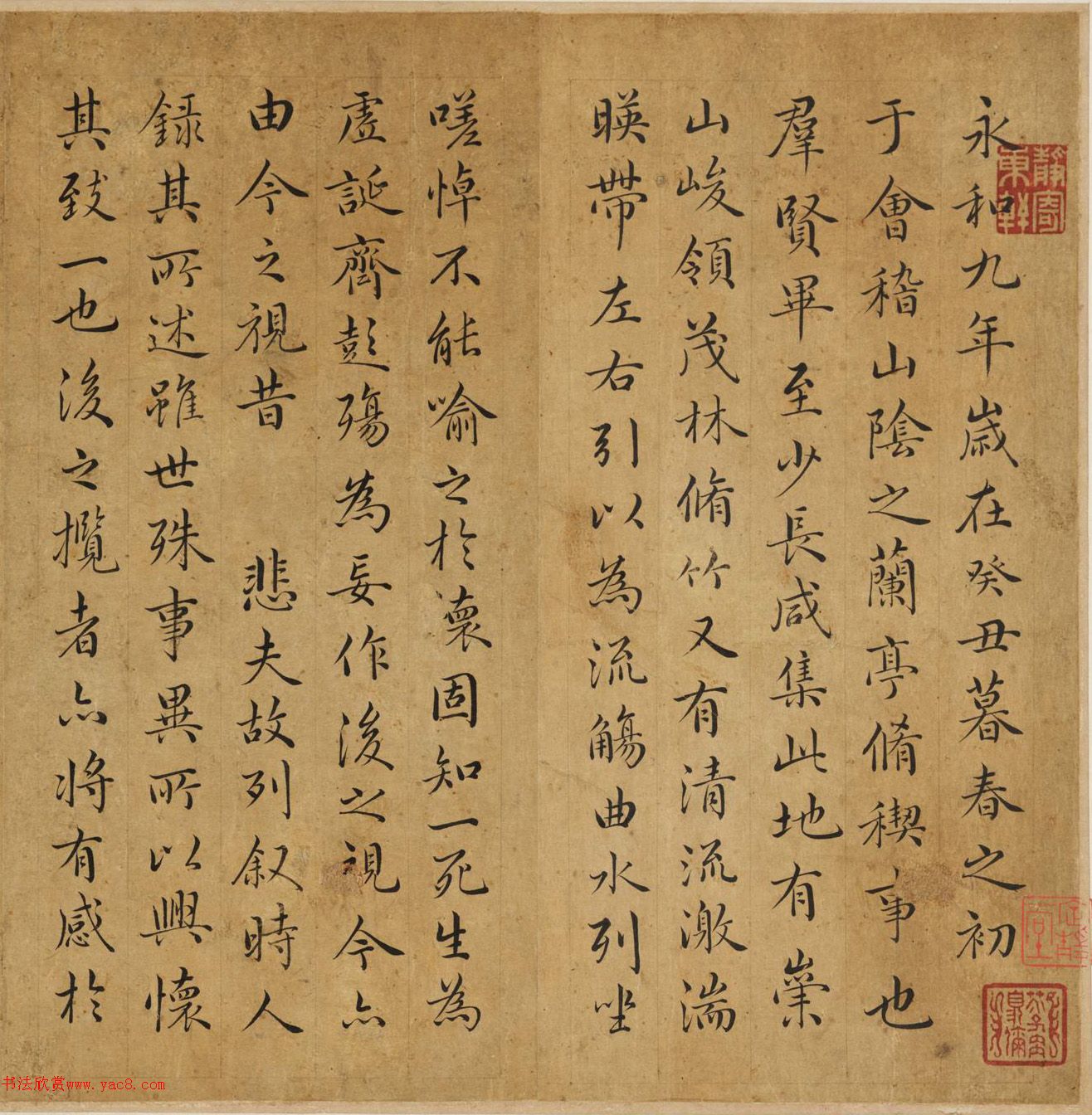 顶ͤ