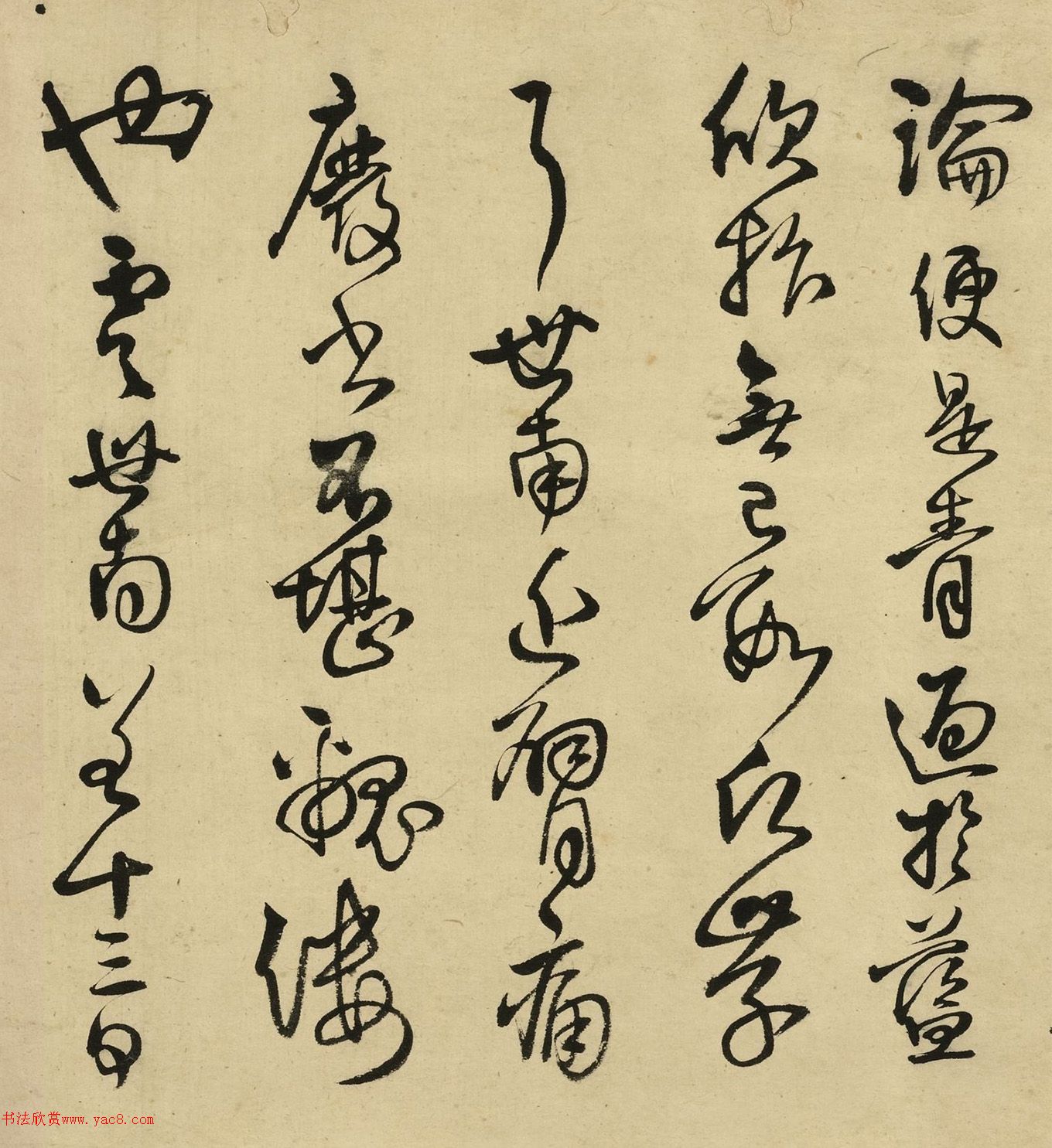 55