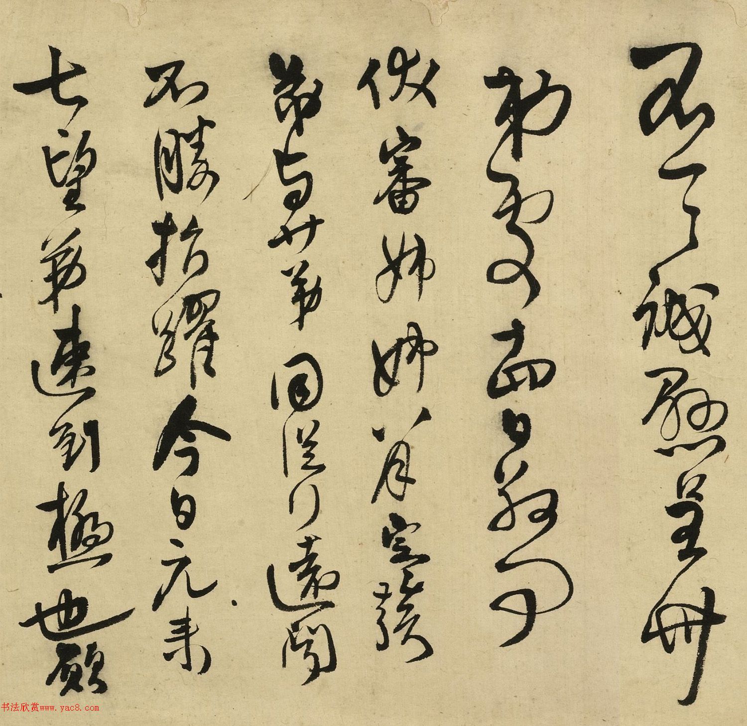 55