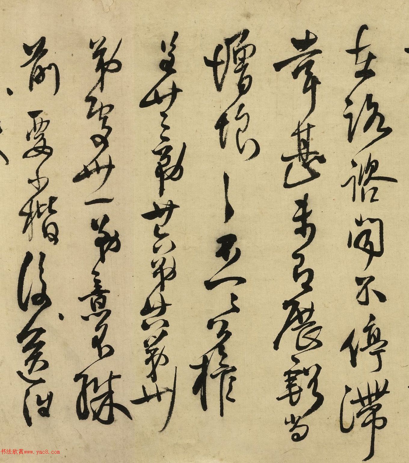 55