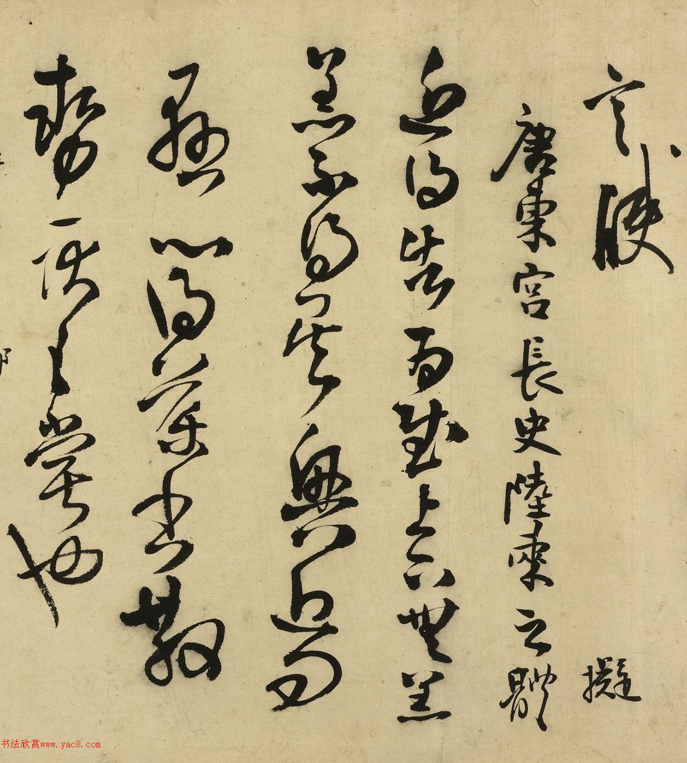 55