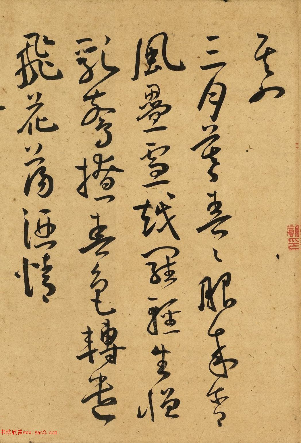 王宠草书石湖八绝句+包山杂咏合卷