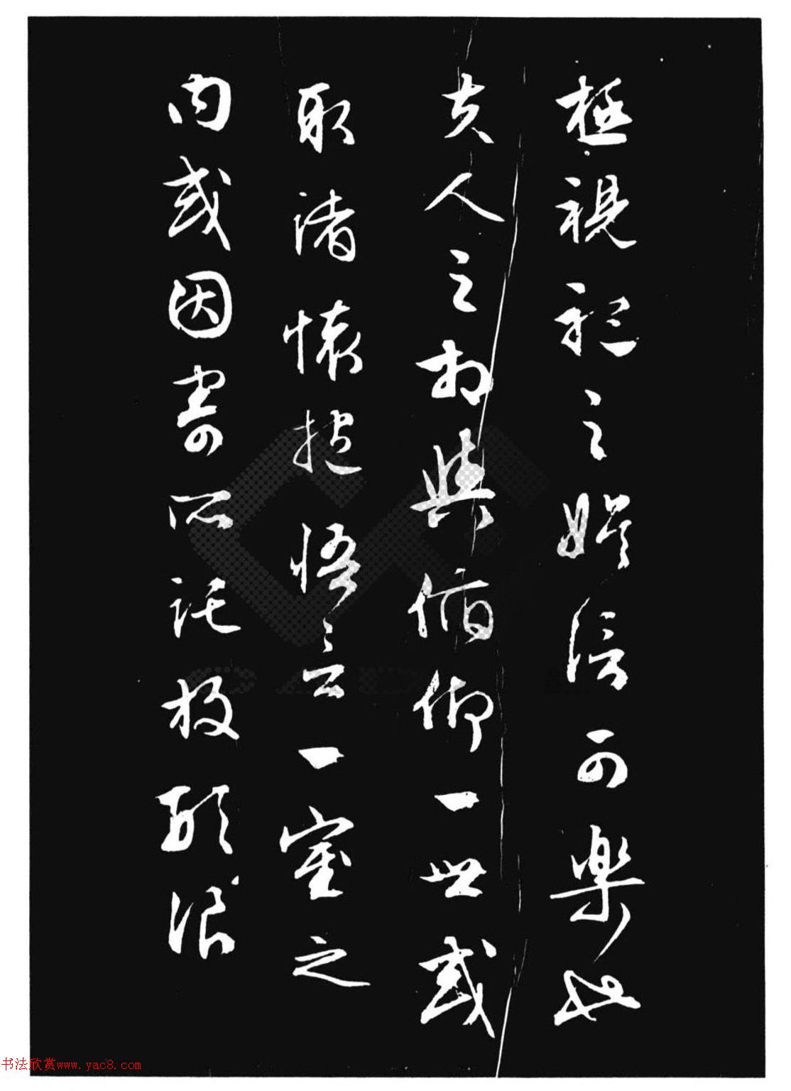 鱮Ʒ