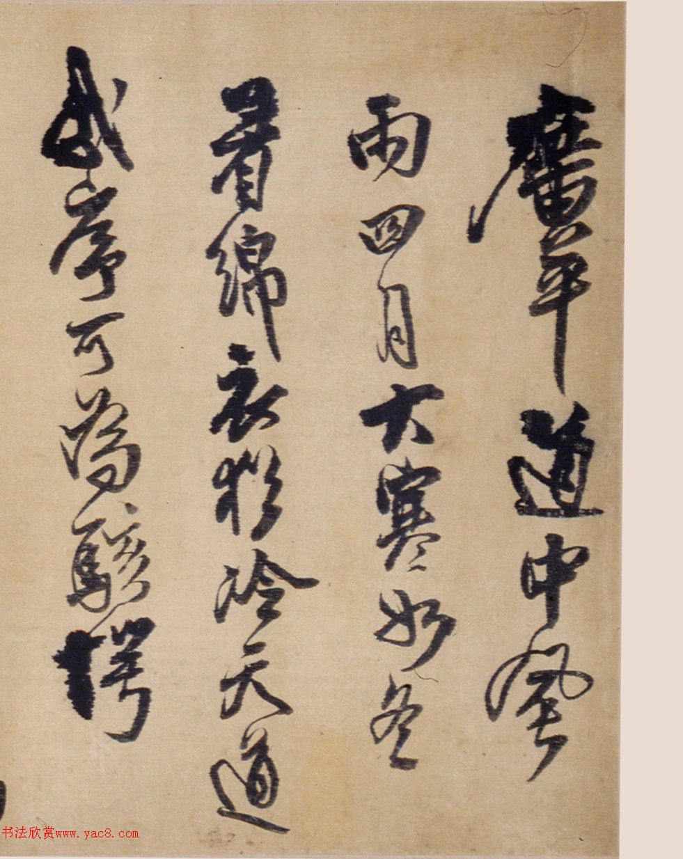 56顶ƽʫ