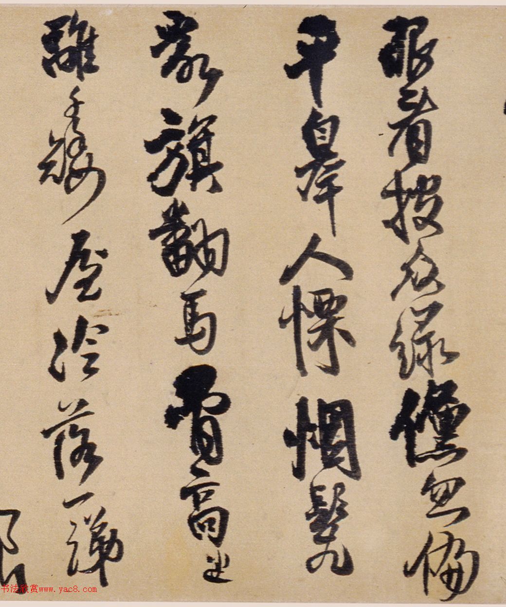 56顶ƽʫ