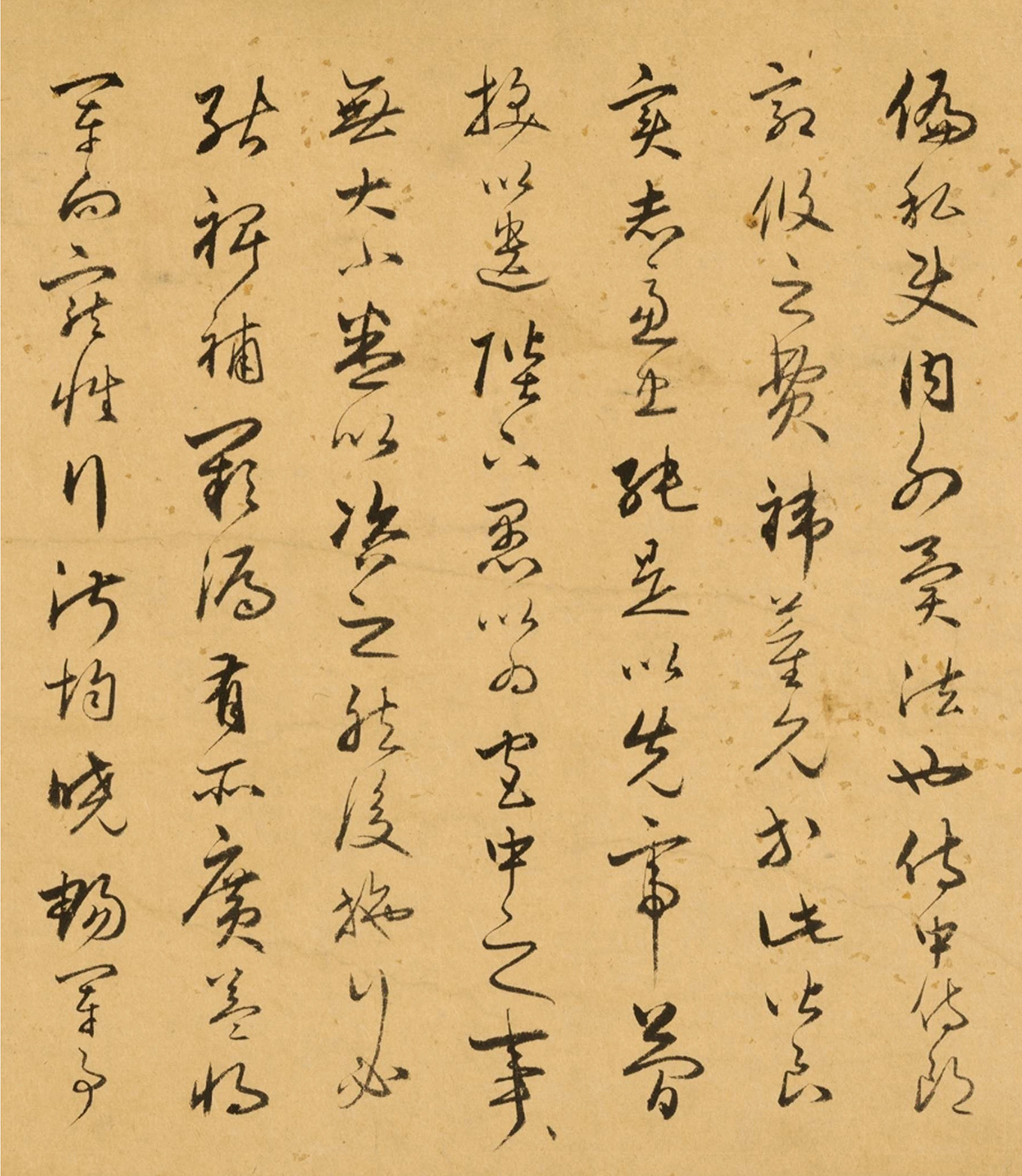 쾴Yвʦ