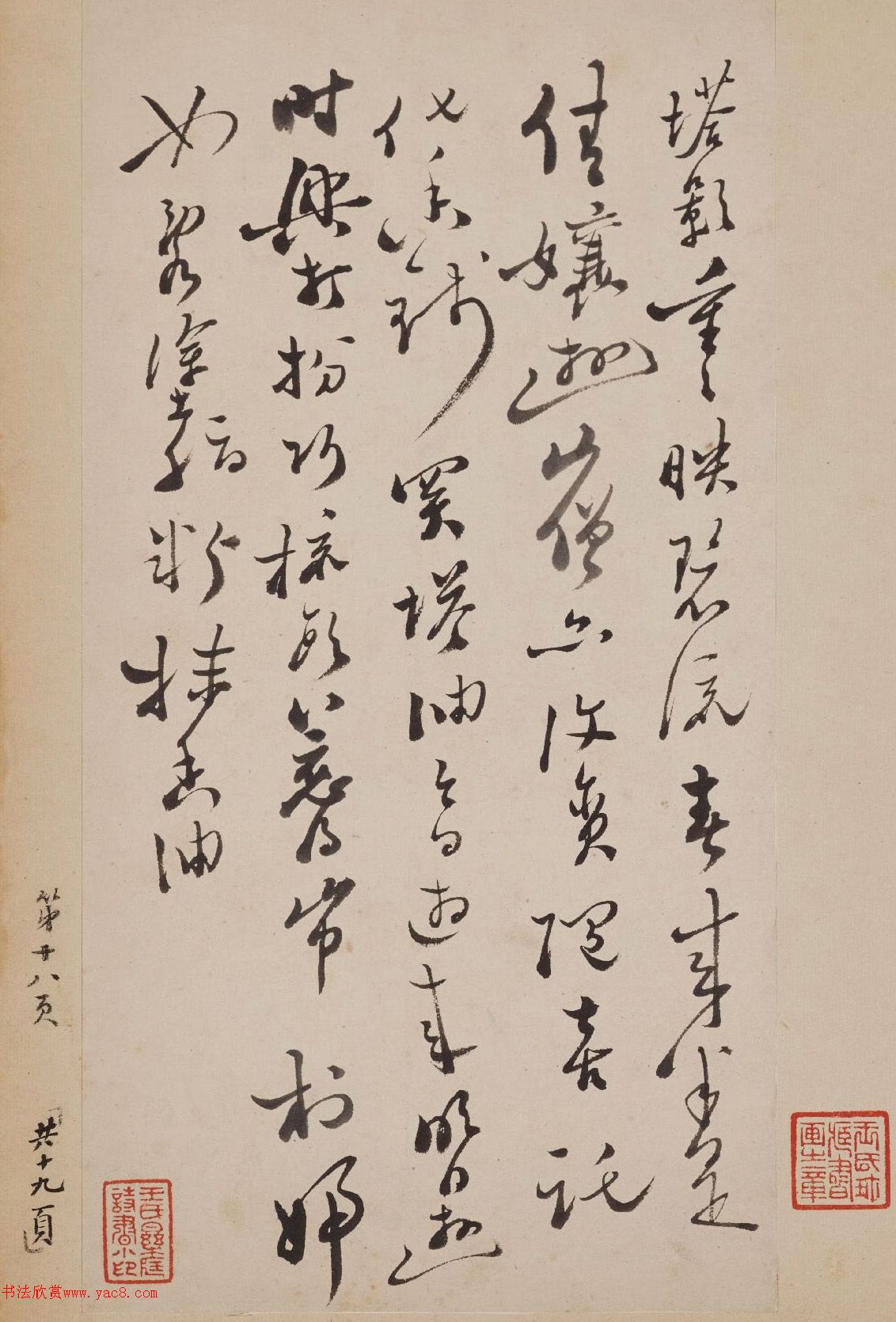 ֣��������������֦�ʲ�