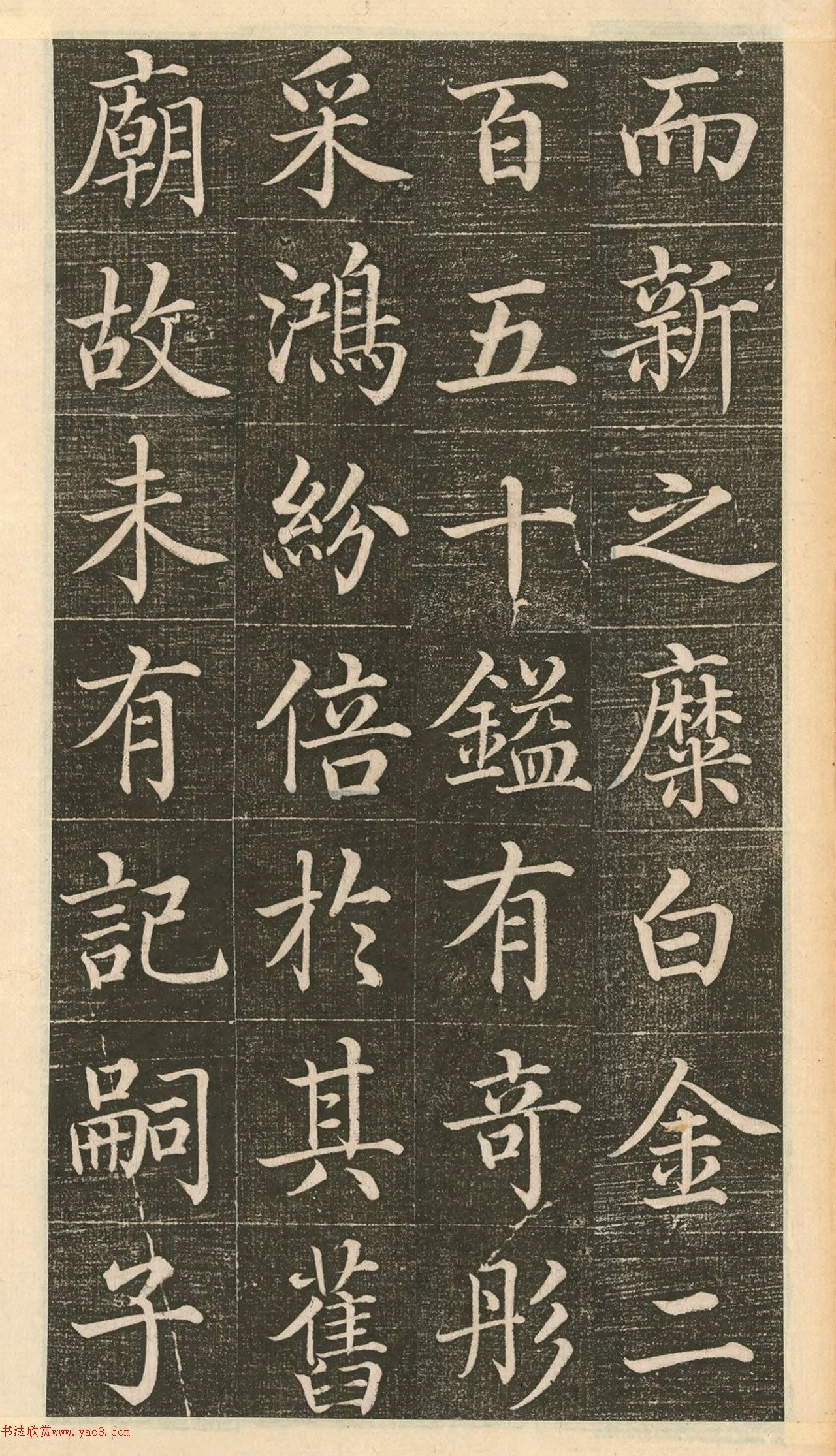 ��᷿��顶���������������ǡ�