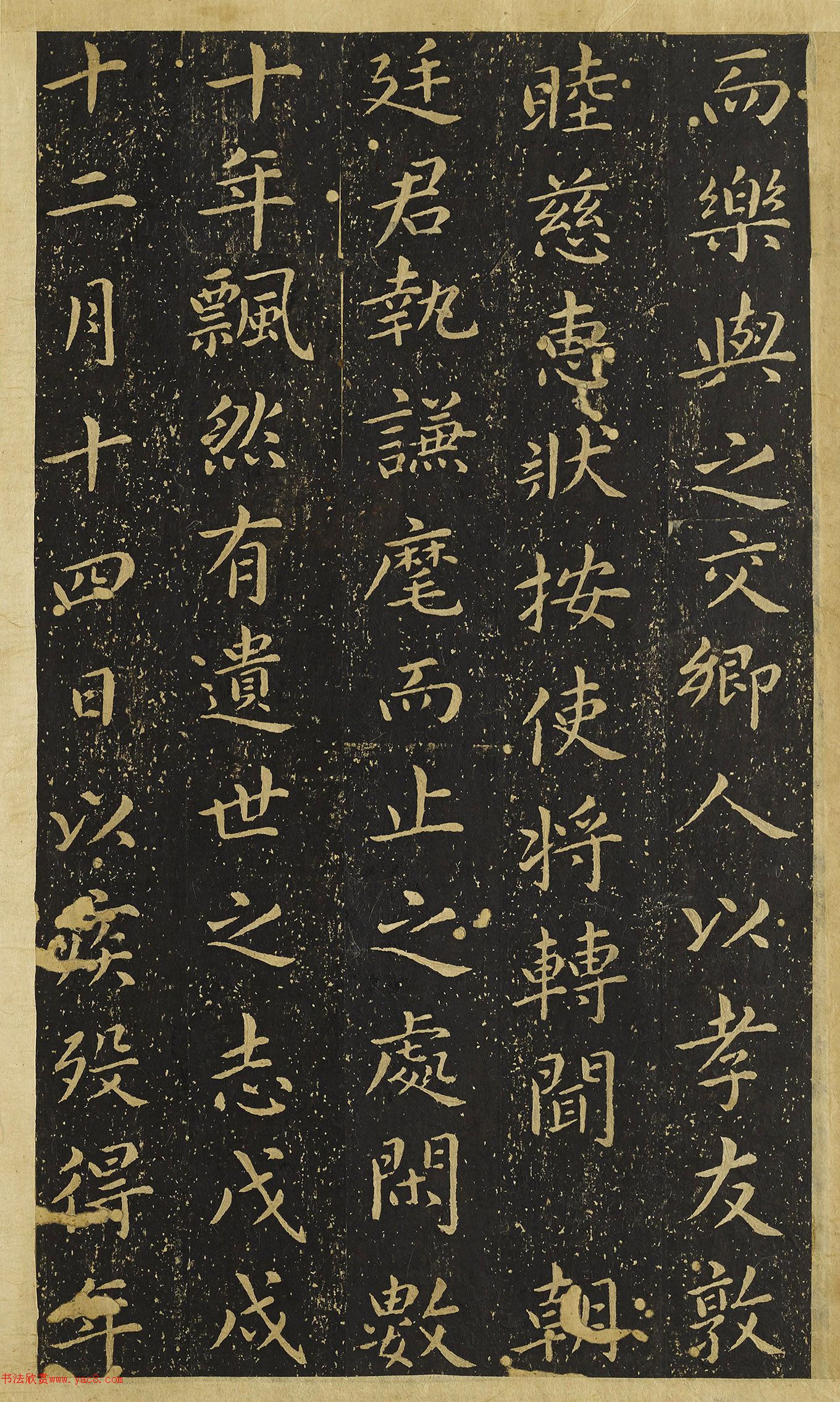 �����������顶�ֹ�Ĺ������