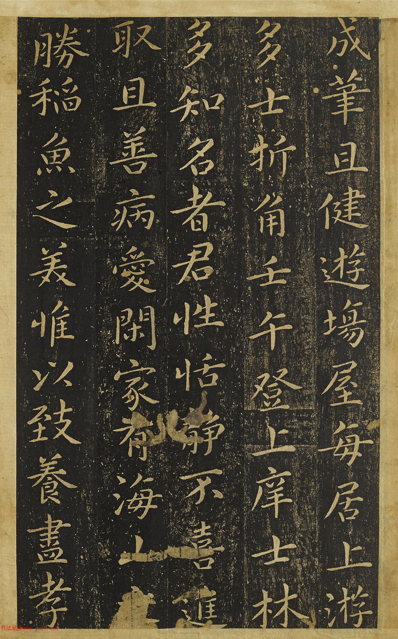 �����������顶�ֹ�Ĺ������