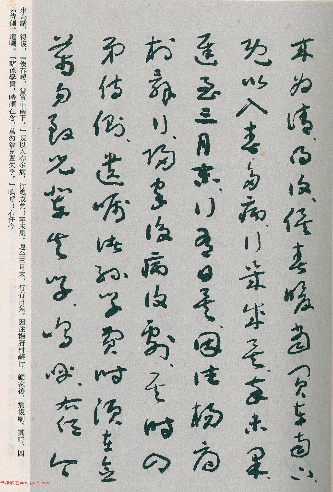 �����β��顶�Ȳ�ĸ��̫����������