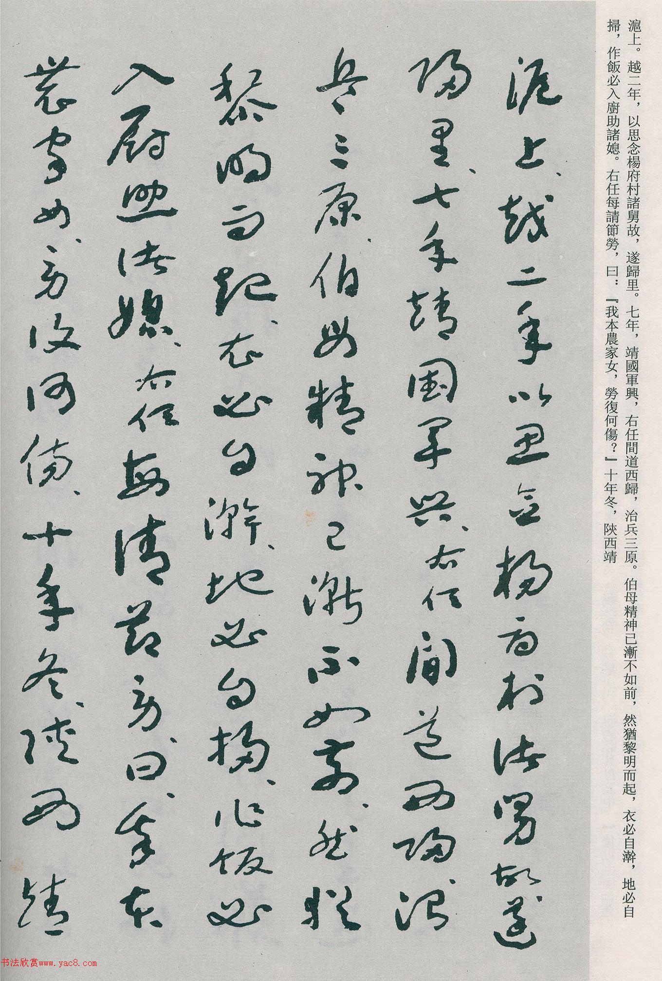 �����β��顶�Ȳ�ĸ��̫����������