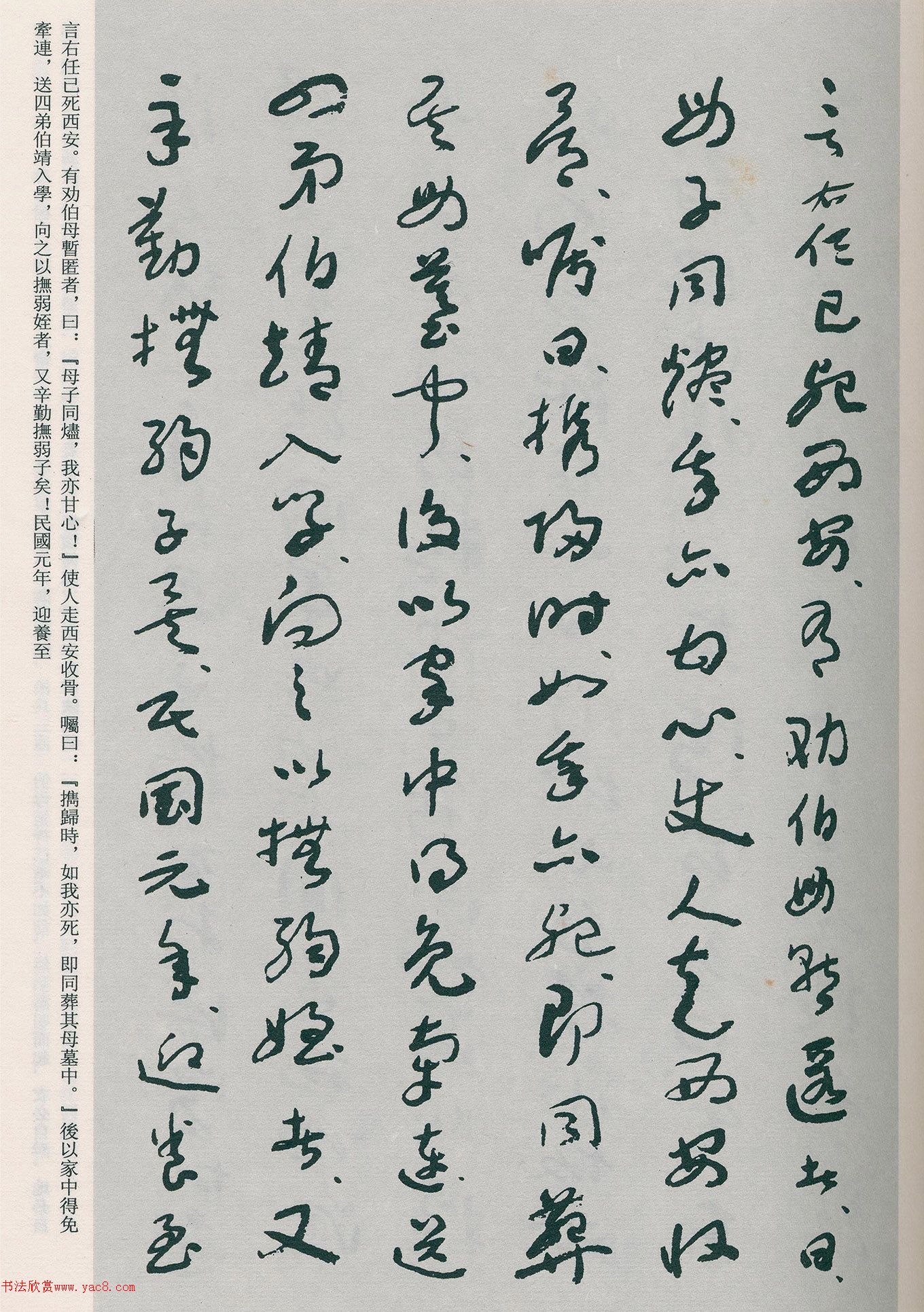 �����β��顶�Ȳ�ĸ��̫����������