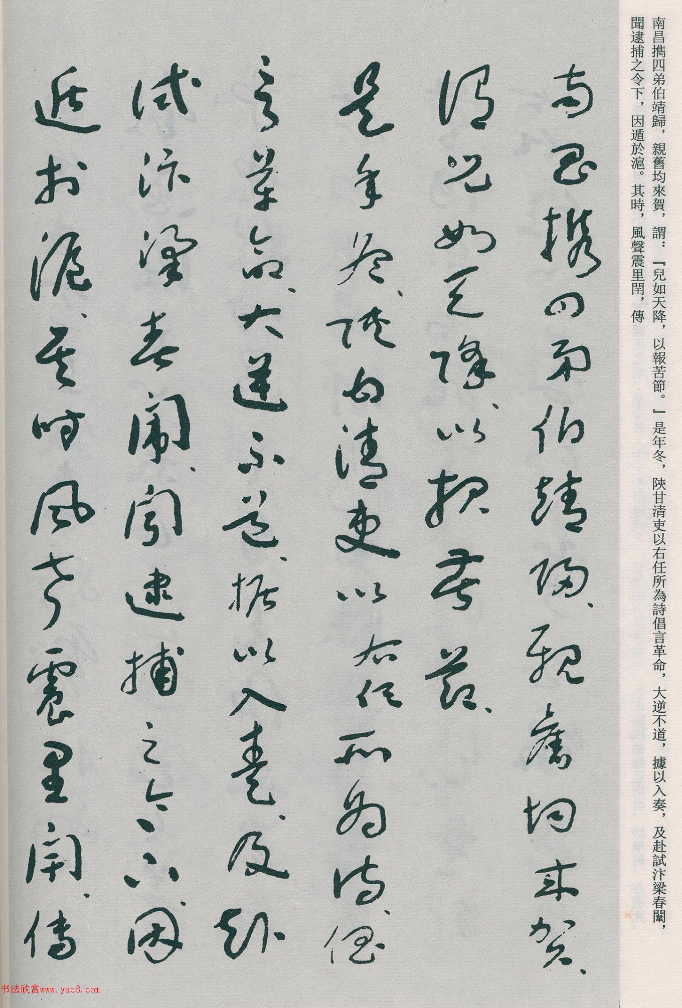 �����β��顶�Ȳ�ĸ��̫����������