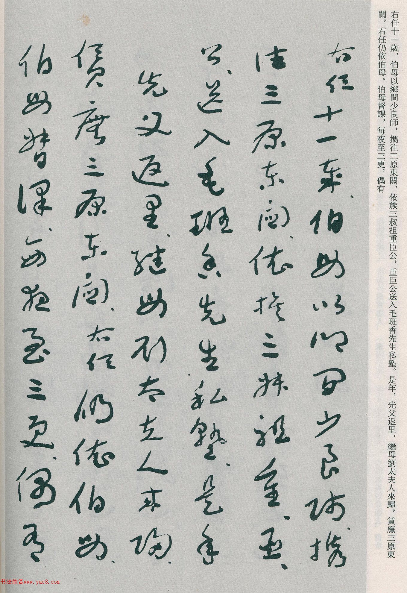 �����β��顶�Ȳ�ĸ��̫����������