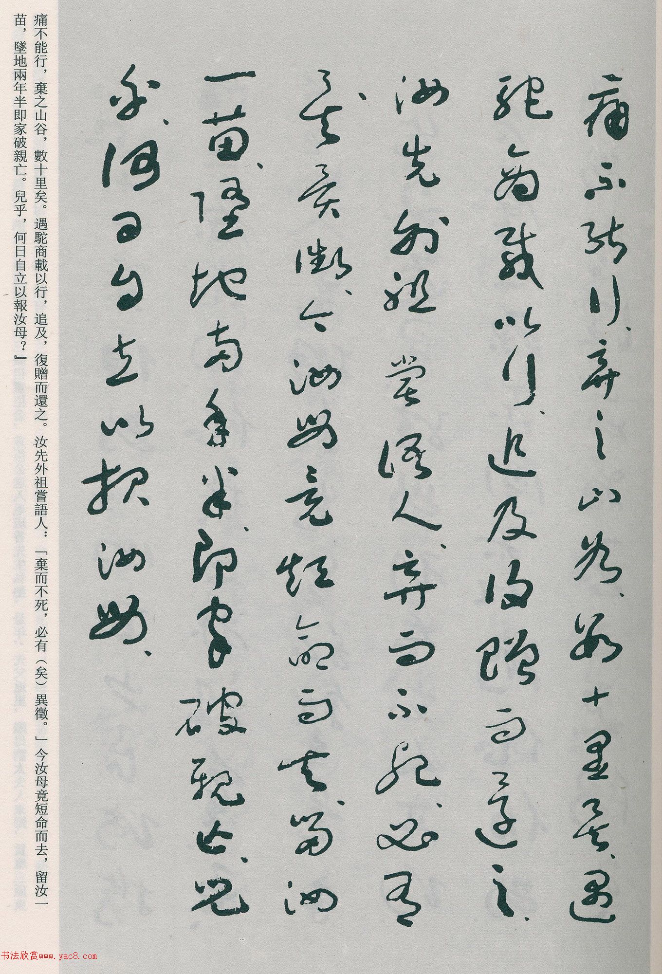 �����β��顶�Ȳ�ĸ��̫����������