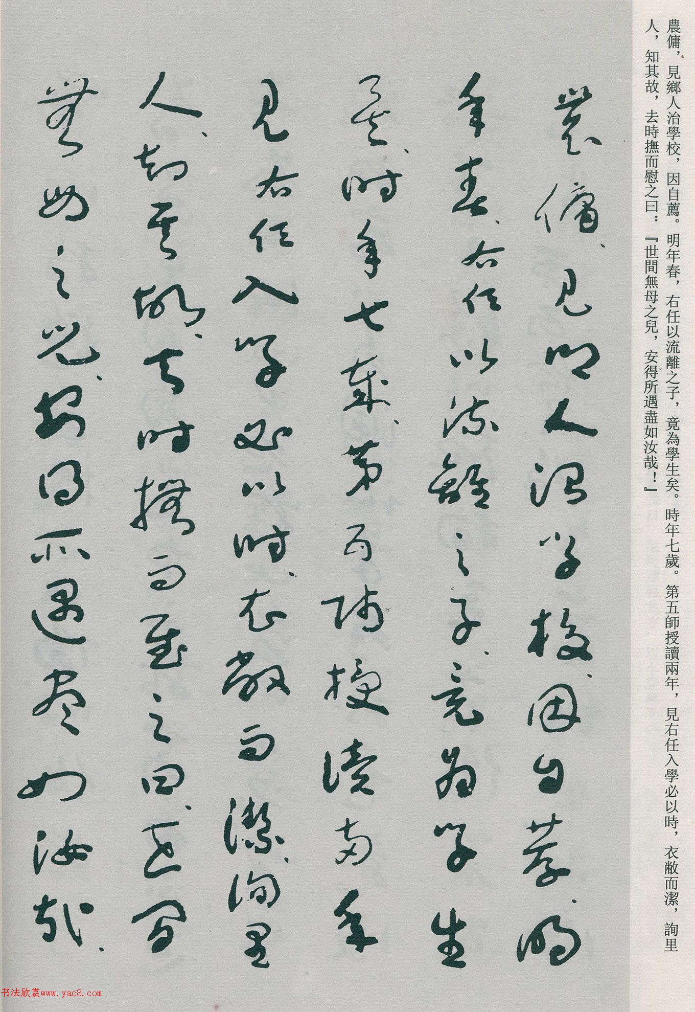 �����β��顶�Ȳ�ĸ��̫����������