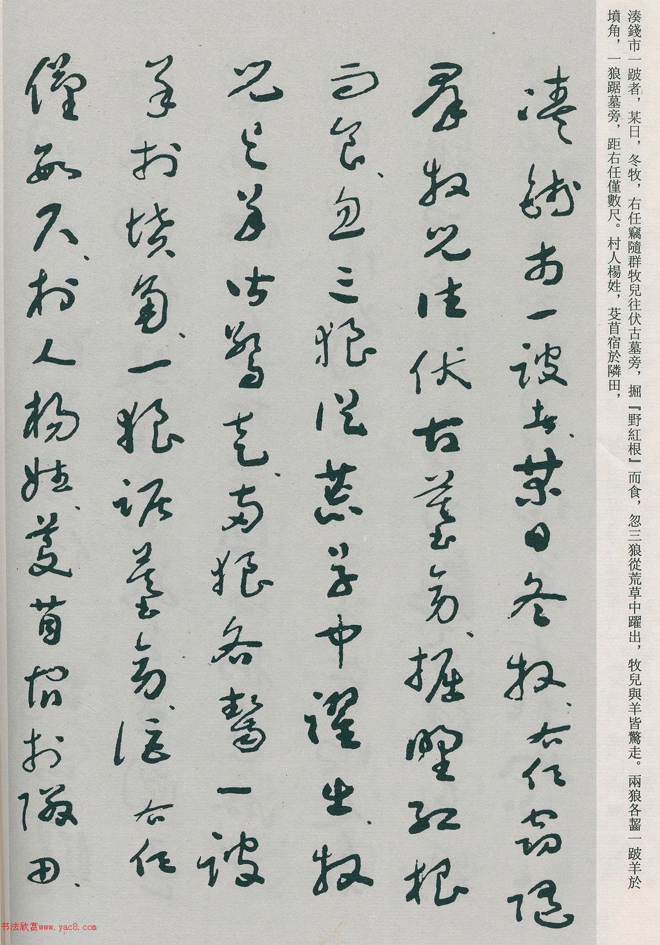 �����β��顶�Ȳ�ĸ��̫����������