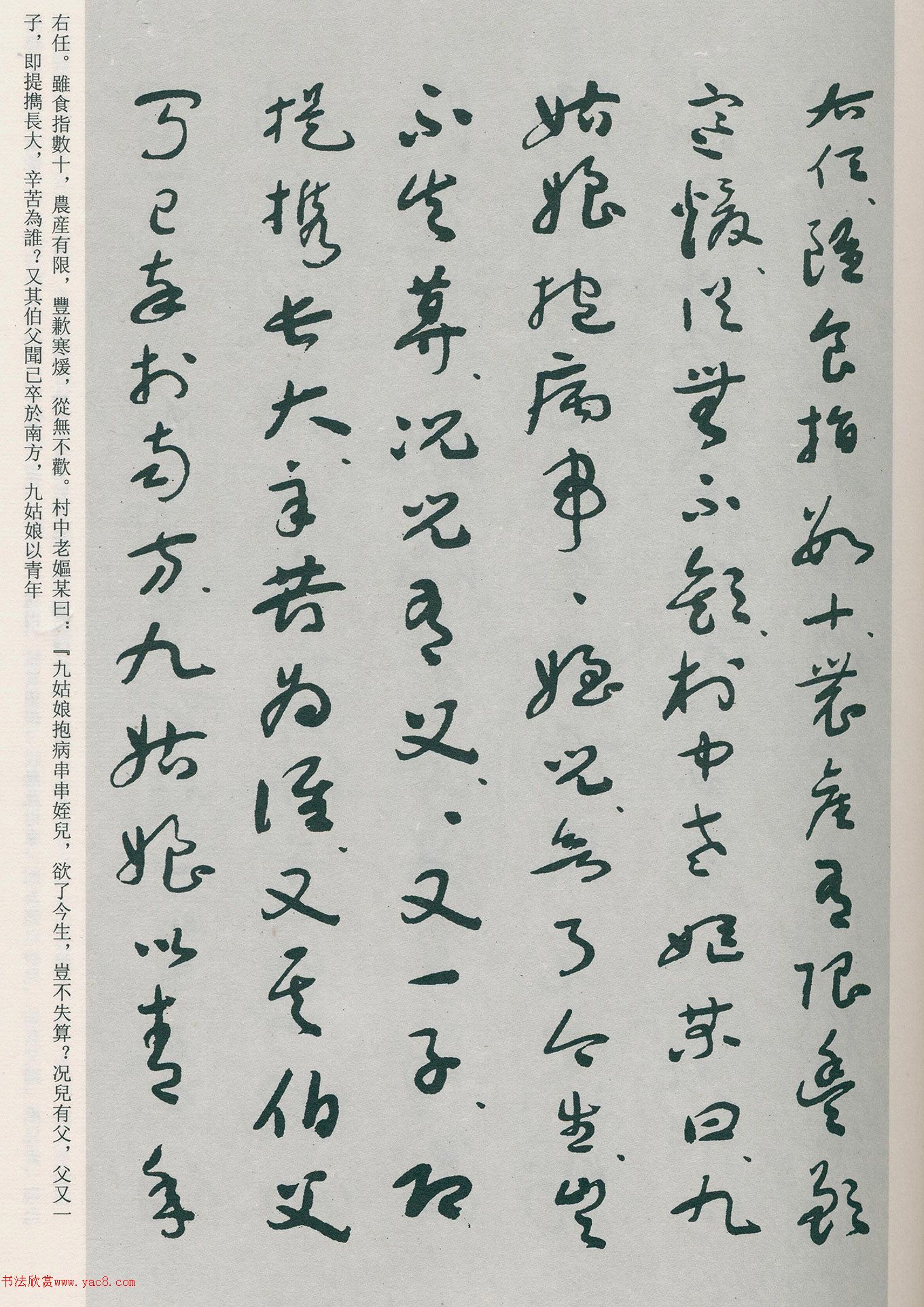 �����β��顶�Ȳ�ĸ��̫����������