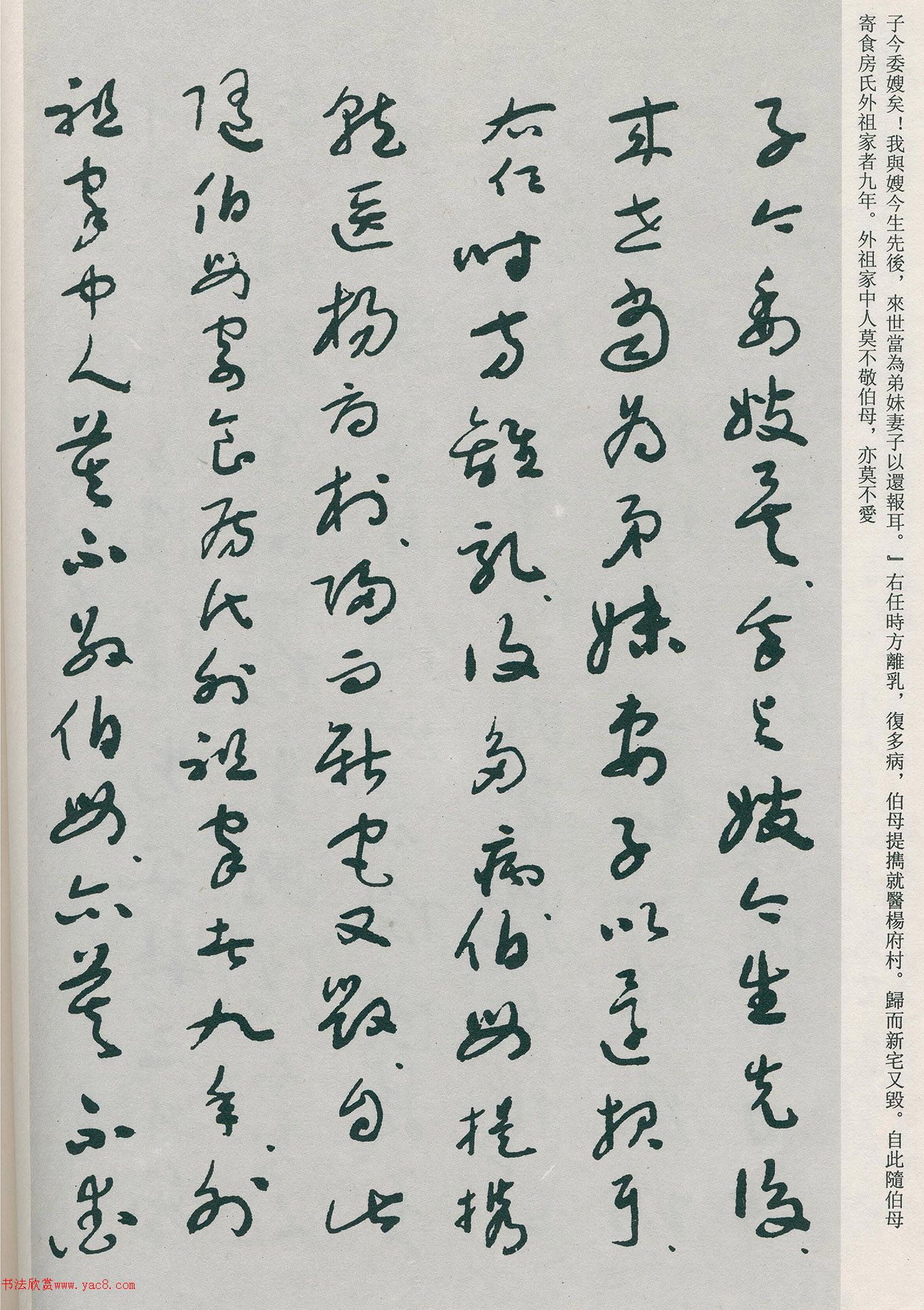 �����β��顶�Ȳ�ĸ��̫����������