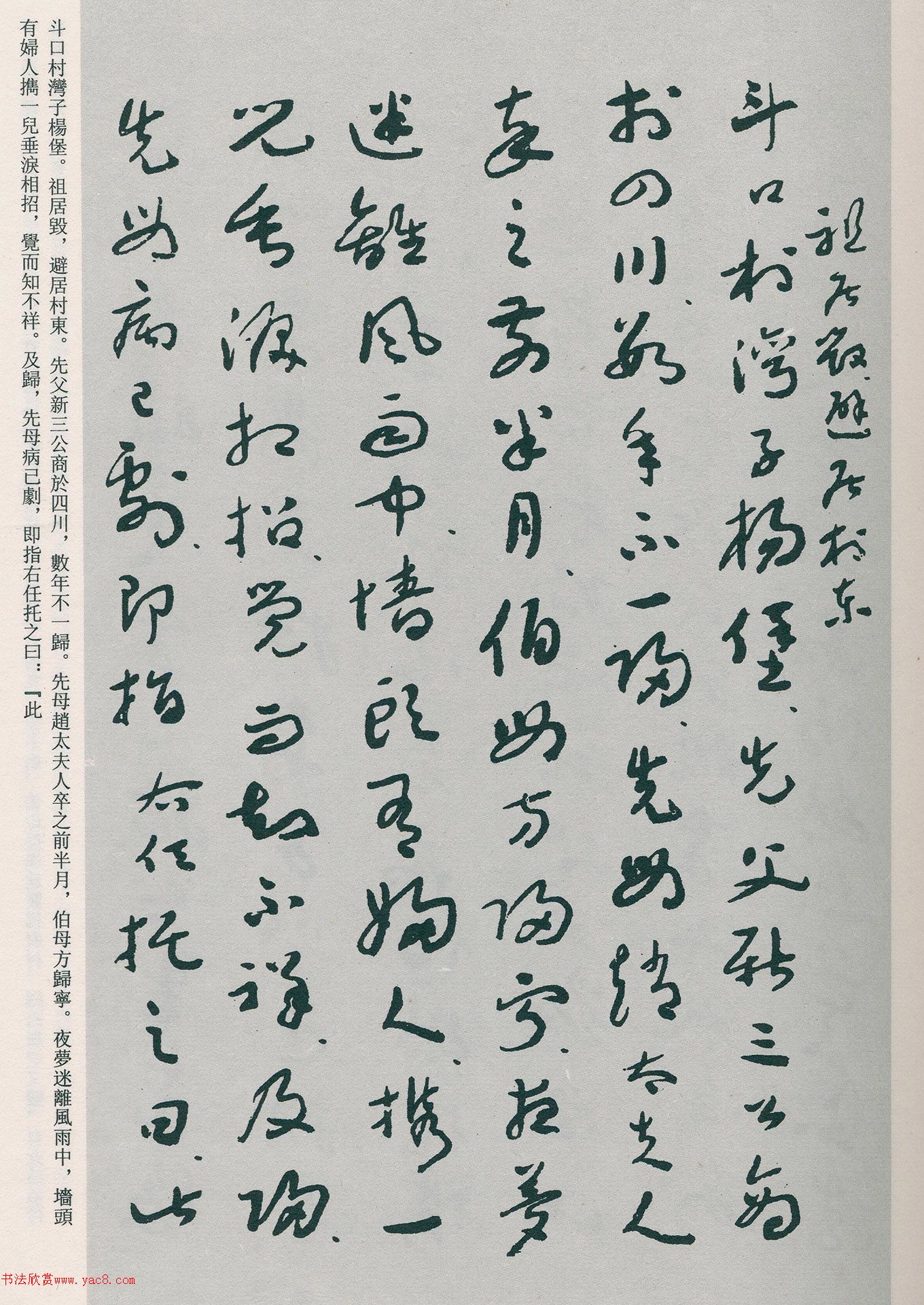 �����β��顶�Ȳ�ĸ��̫����������