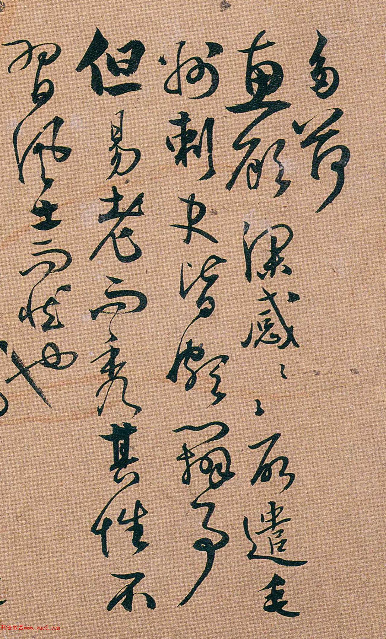 �������顶���������